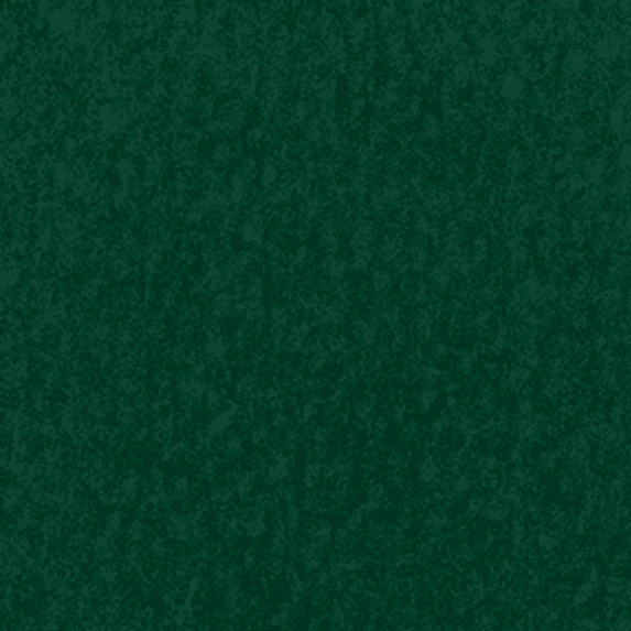 Dark Green.png