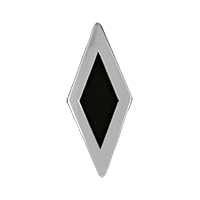 Polished Silver & Black Inlay