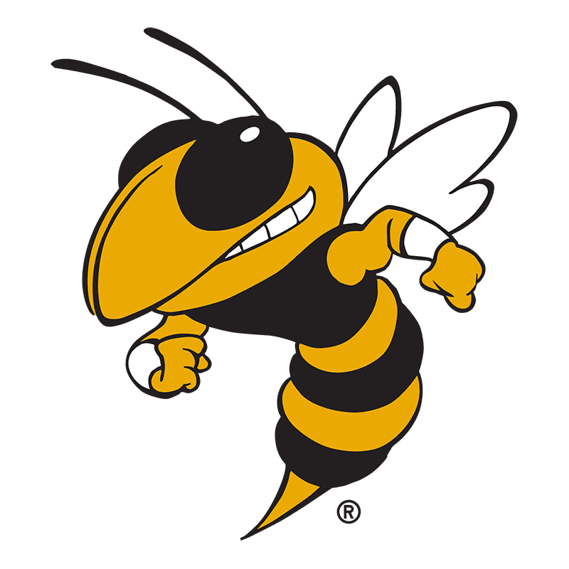 Georgia Tech Shuffleboard