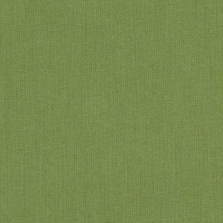 Spectrum Cilantro (7' & 8' Only)