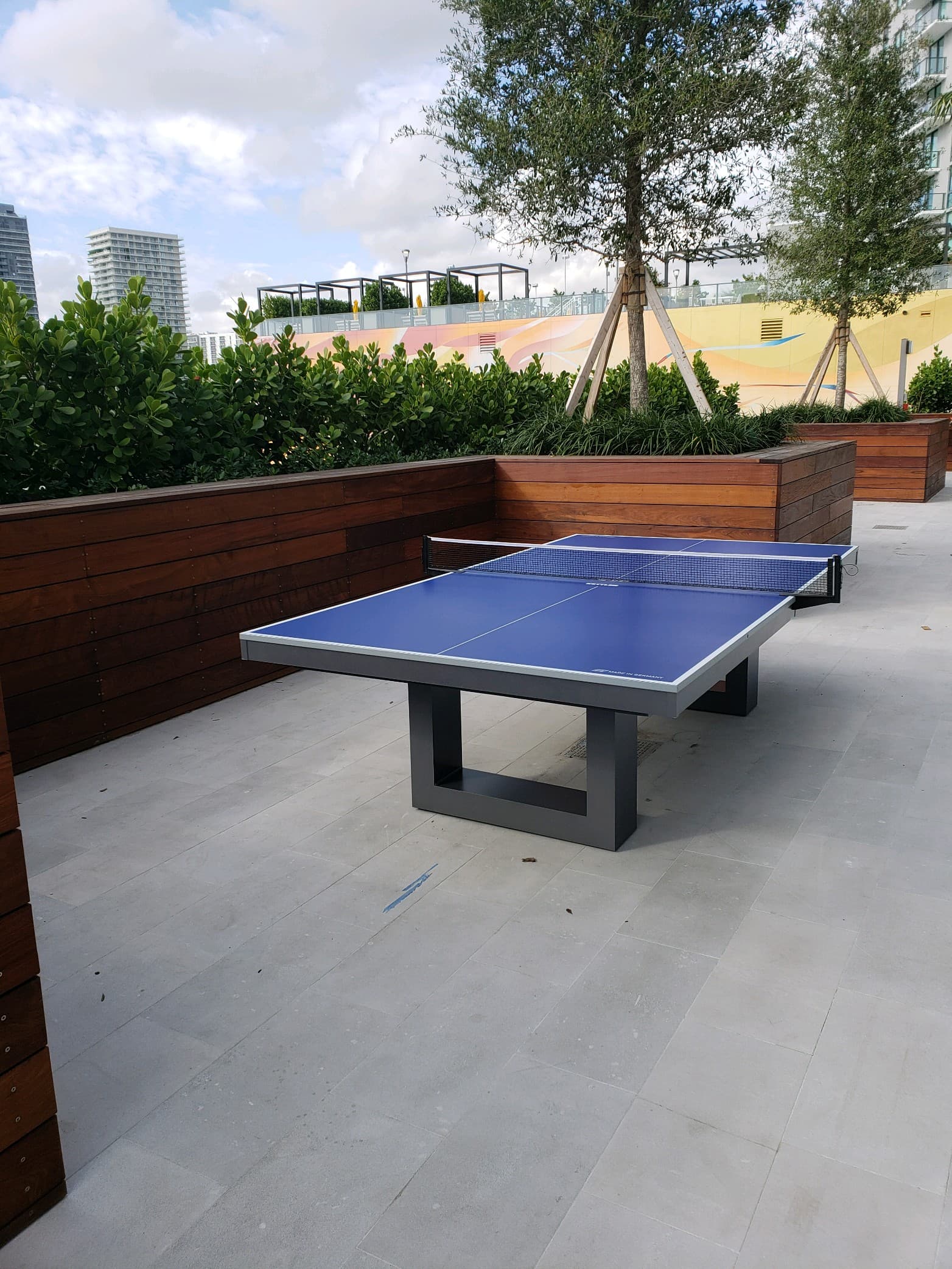 Horizon table tennis
